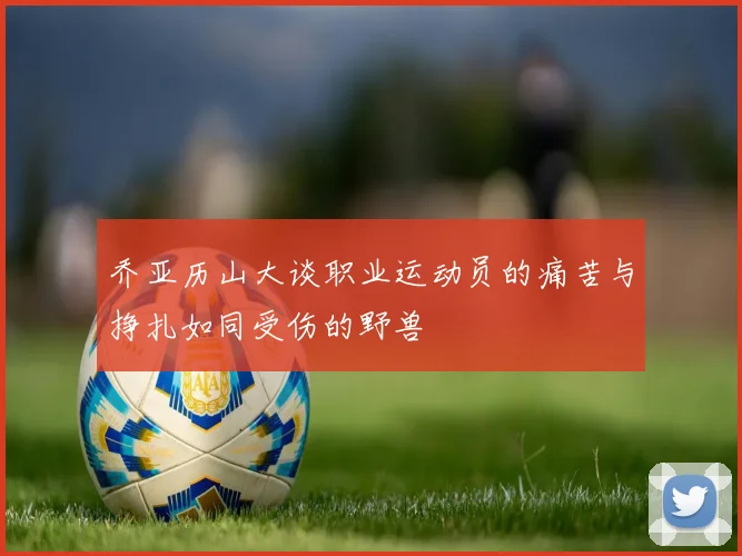乔亚历山大谈职业运动员的痛苦与挣扎如同受伤的野兽
