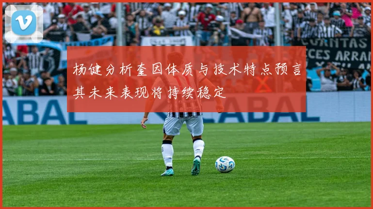 杨健分析奎因体质与技术特点预言其未来表现将持续稳定